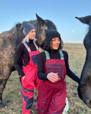 Koně si dokážou pamatovat lidi i po deseti letech! Takže pokud jsi jim někdy dal pamlsek, nezapomenou. 🍏 Ale pokud jsi je...